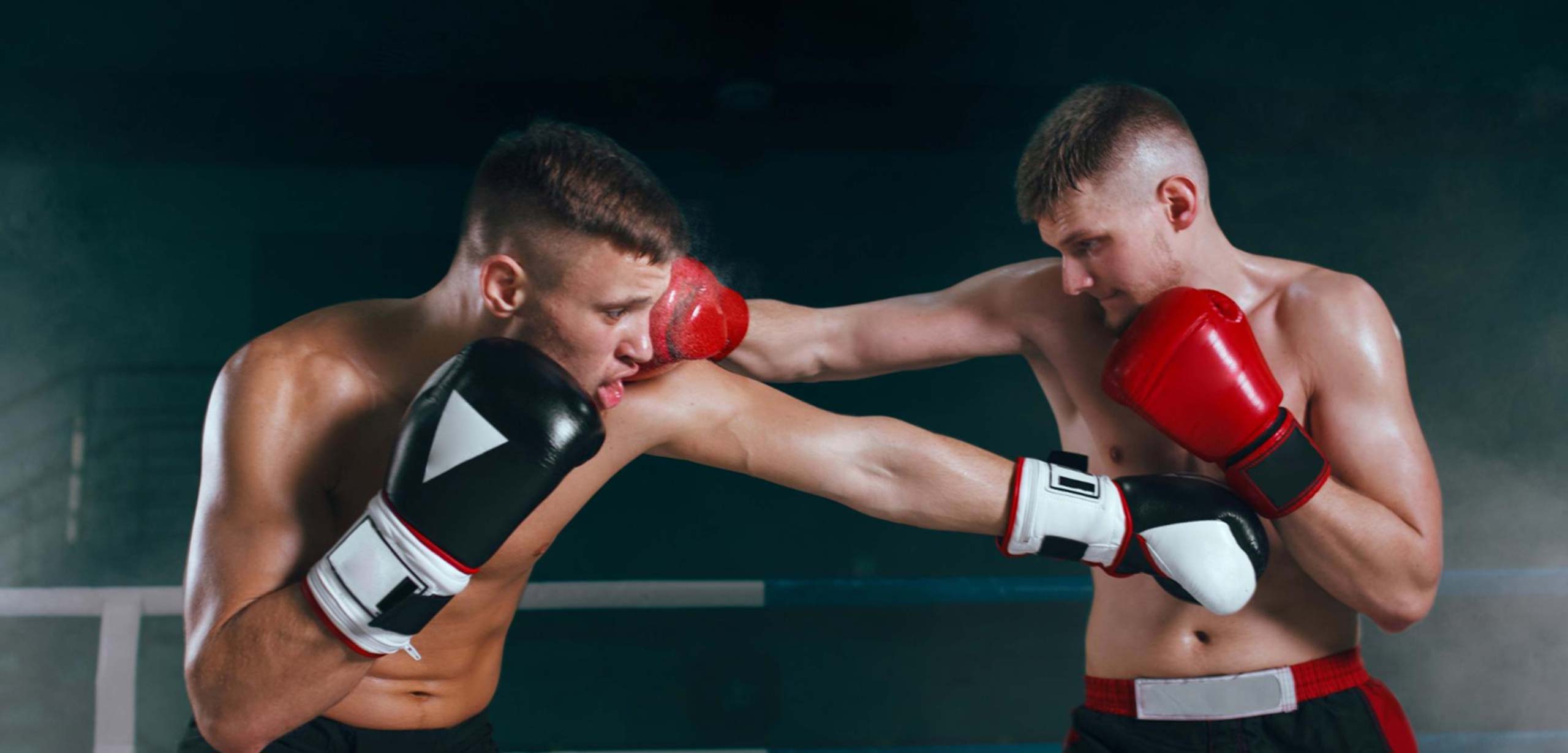 MMA-Cover